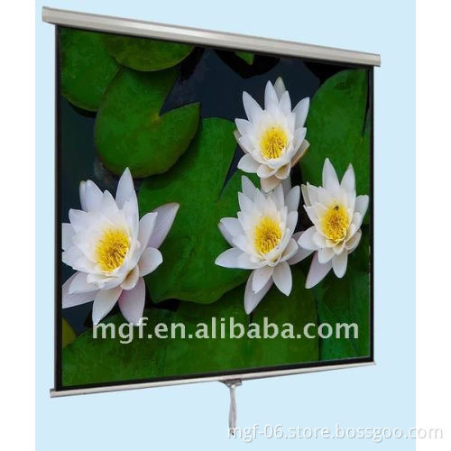 Manual Projection Screen/ Wall Mounted projector Screen